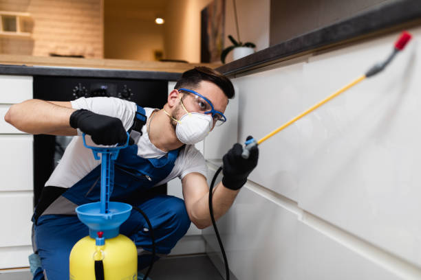 Best Best Pest Control Companies  in Richmond, MN