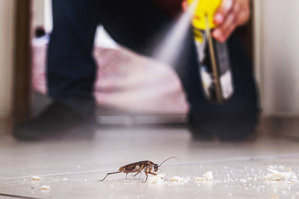 Best Pest Control for Restaurants  in Richmond, MN